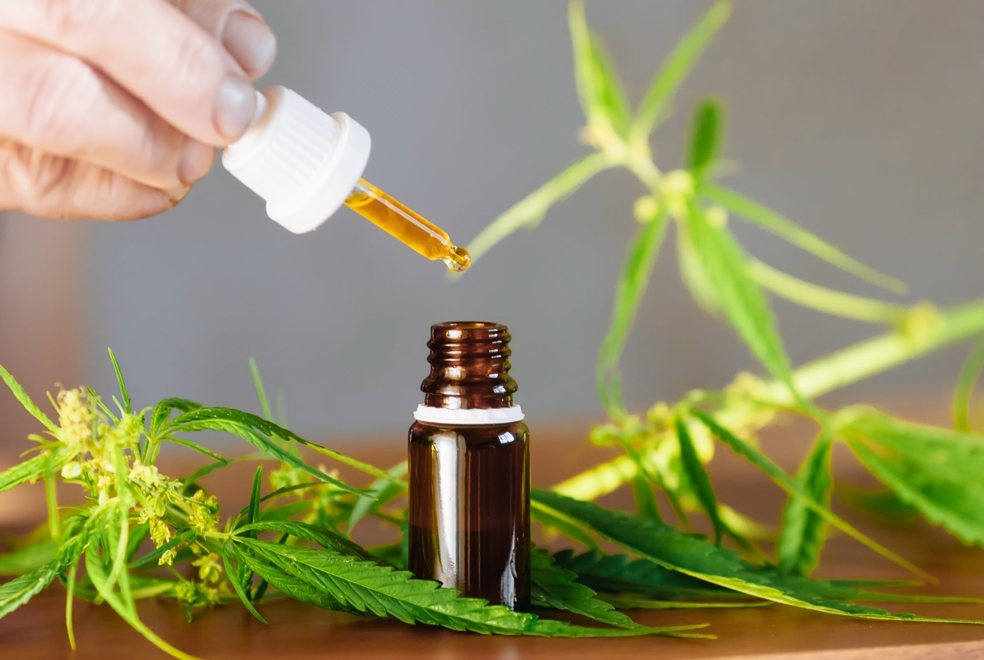 6 Things To Consider When Private Labeling CBD Products