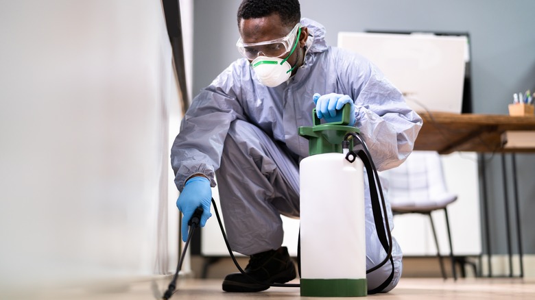 What To Consider Before Hiring A Pest Control Service Near You?￼